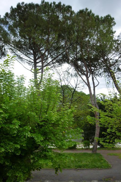 Albergo I Villini Pontassieve Kültér fotó